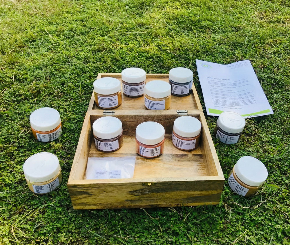 Natural Dyes Starter Kit