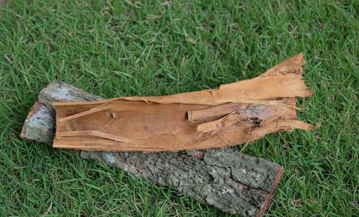 Garnet Brown - Image 2