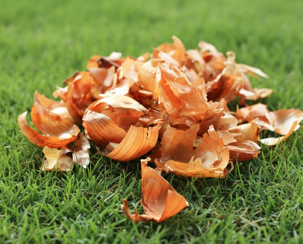 Lemon Yellow - Image 2